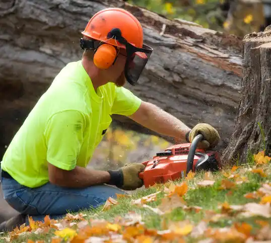 tree services McComb